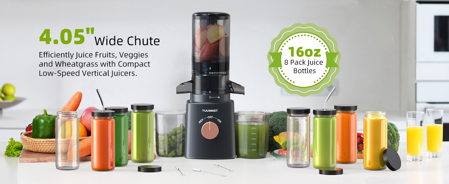 Juicer manufacturer best sale